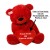 Personalized Red Teddy Bear Soft Toy with Customized Red Heart